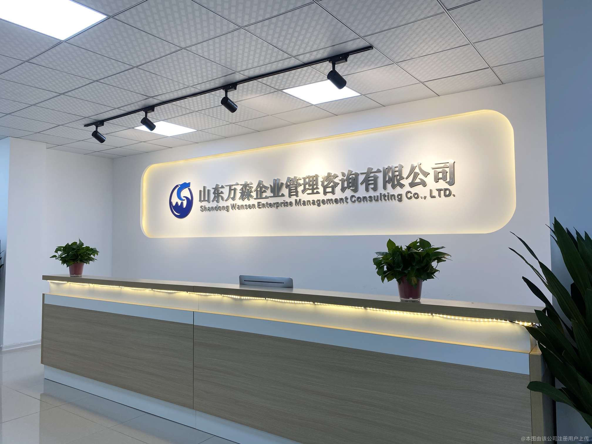 企业管理的智慧之道 山东万森企业管理咨询助力企业成长